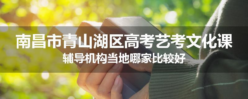 南昌市青山湖区高考艺考文化课辅导机构当地哪家比较好