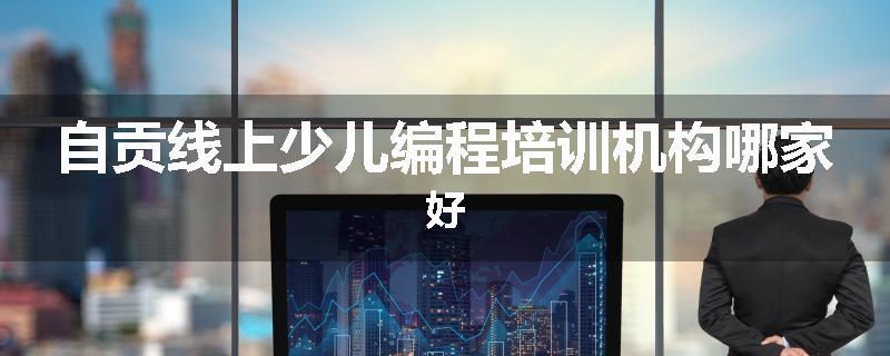 自贡线上少儿编程培训机构哪家好