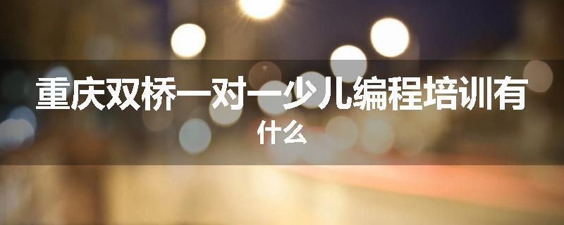 重庆双桥一对一少儿编程培训有什么
