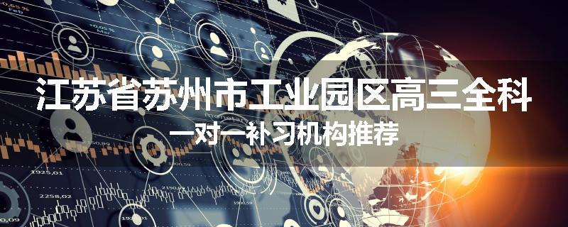 江苏省苏州市工业园区高三全科一对一补习机构推荐