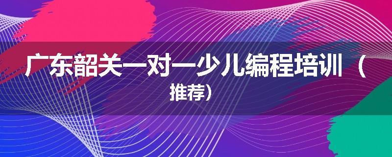 广东韶关一对一少儿编程培训（推荐）