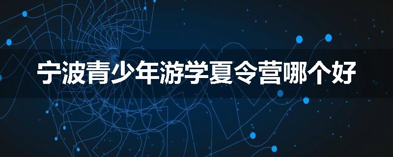 宁波青少年游学夏令营哪个好