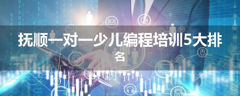 抚顺一对一少儿编程培训5大排名