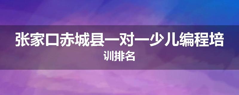 张家口赤城县一对一少儿编程培训排名