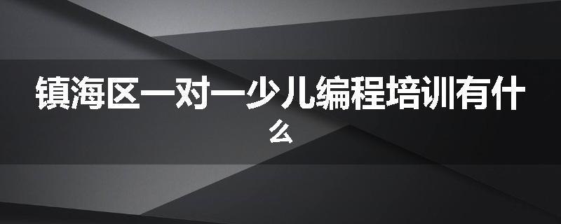 镇海区一对一少儿编程培训有什么