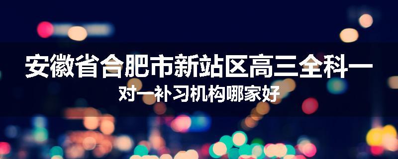 安徽省合肥市新站区高三全科一对一补习机构哪家好