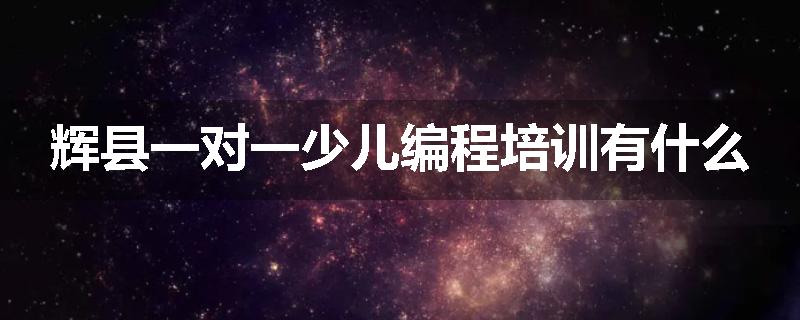 辉县一对一少儿编程培训有什么