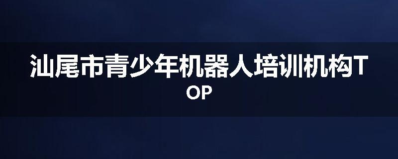 汕尾市青少年机器人培训机构TOP