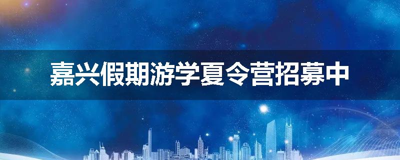 嘉兴假期游学夏令营招募中