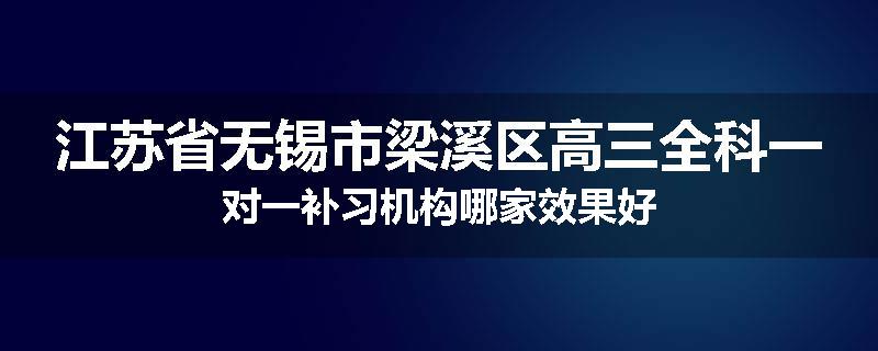江苏省无锡市梁溪区高三全科一对一补习机构哪家效果好