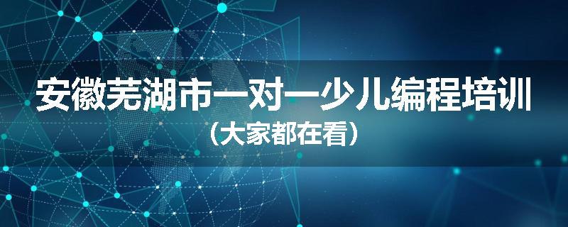 安徽芜湖市一对一少儿编程培训（大家都在看）