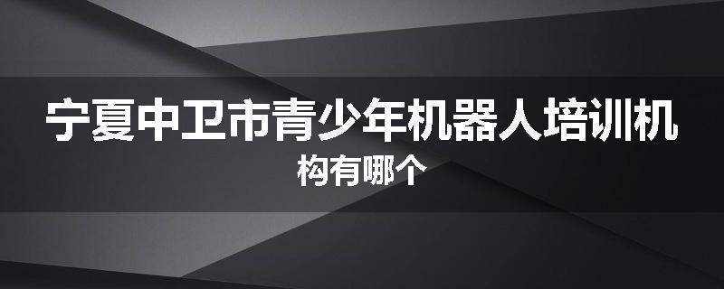 宁夏中卫市青少年机器人培训机构有哪个