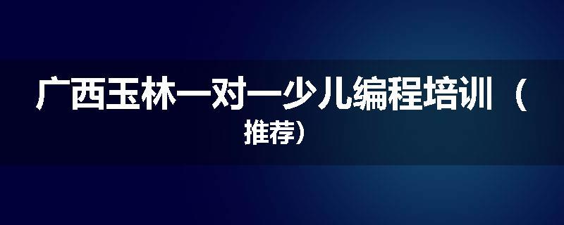 广西玉林一对一少儿编程培训（推荐）