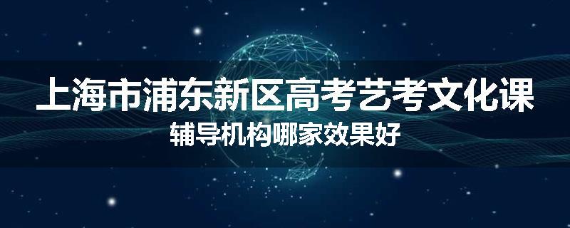 上海市浦东新区高考艺考文化课辅导机构哪家效果好