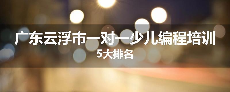 广东云浮市一对一少儿编程培训5大排名