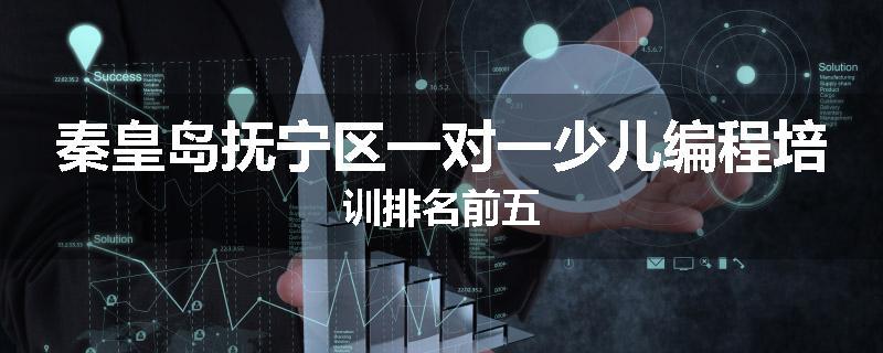 秦皇岛抚宁区一对一少儿编程培训排名前五