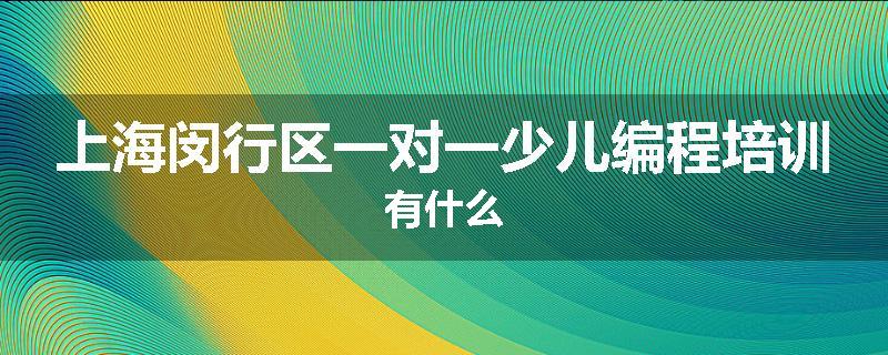 上海闵行区一对一少儿编程培训有什么