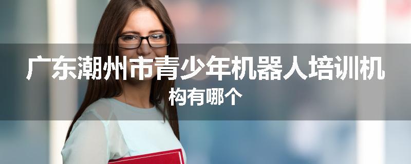 广东潮州市青少年机器人培训机构有哪个