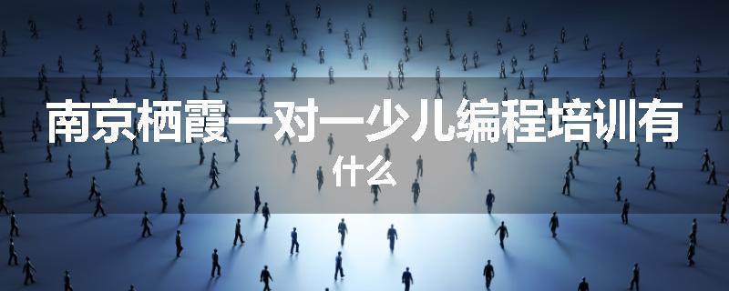 南京栖霞一对一少儿编程培训有什么