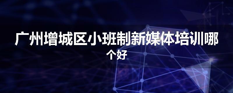 广州增城区小班制新媒体培训哪个好