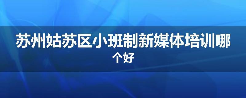 苏州姑苏区小班制新媒体培训哪个好