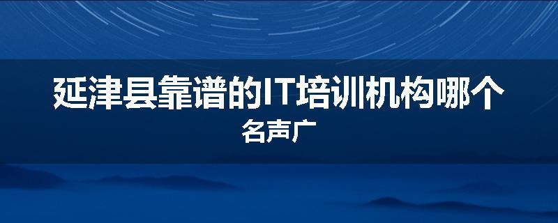 延津县靠谱的IT培训机构哪个名声广