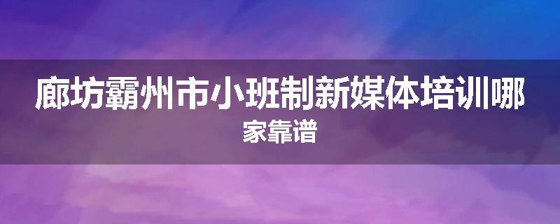 廊坊霸州市小班制新媒体培训哪家靠谱