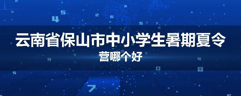 云南省保山市中小学生暑期夏令营哪个好