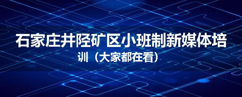 石家庄井陉矿区小班制新媒体培训(大家都在看)