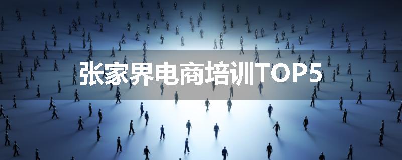 张家界电商培训TOP5