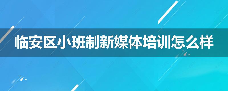 临安区小班制新媒体培训怎么样