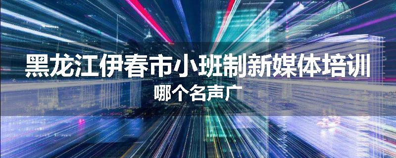 黑龙江伊春市小班制新媒体培训哪个名声广