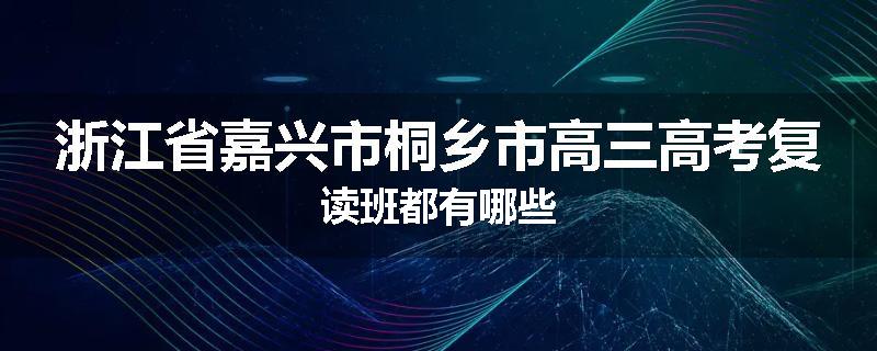 浙江省嘉兴市桐乡市高三高考复读班都有哪些