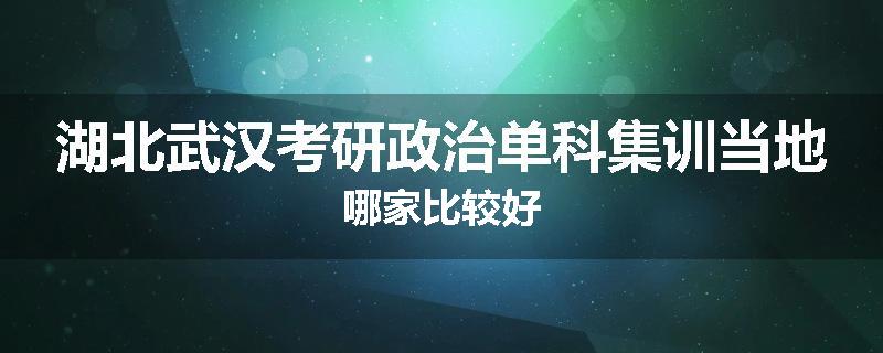 湖北武汉考研政治单科集训当地哪家比较好