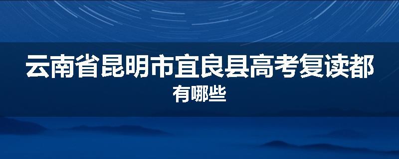 云南省昆明市宜良县高考复读都有哪些