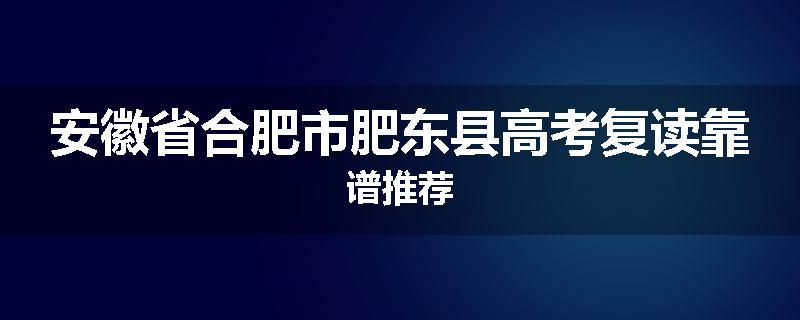 安徽省合肥市肥东县高考复读靠谱推荐