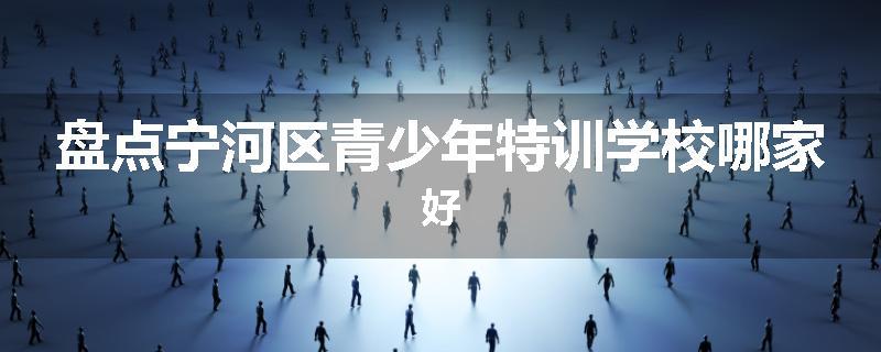 盘点宁河区青少年特训学校哪家好
