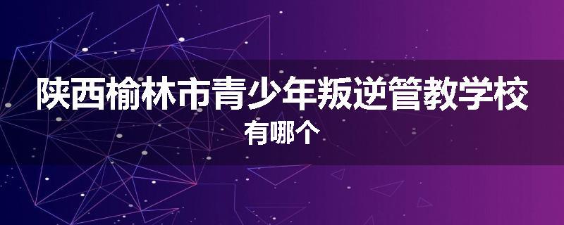 陕西榆林市青少年叛逆管教学校有哪个