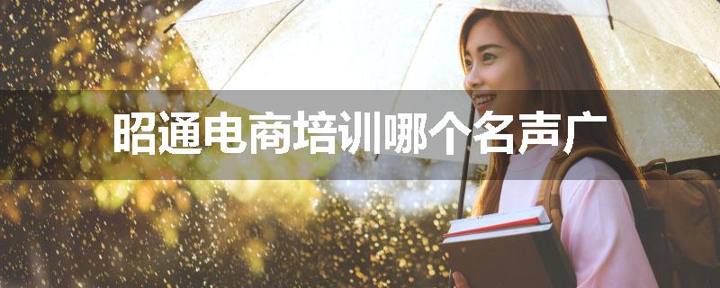 昭通电商培训哪个名声广