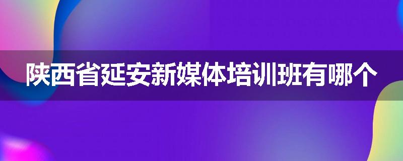 陕西省延安新媒体培训班有哪个