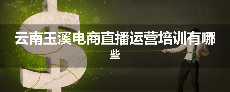 云南玉溪电商直播运营培训有哪些