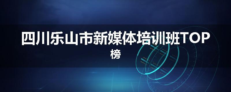 四川乐山市新媒体培训班TOP榜