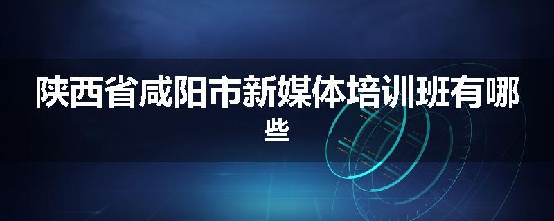 陕西省咸阳市新媒体培训班有哪些