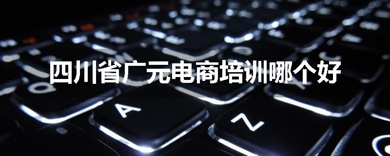 四川省广元电商培训哪个好