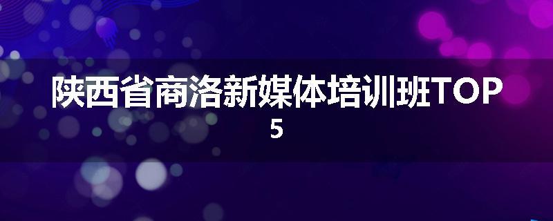 陕西省商洛新媒体培训班TOP5