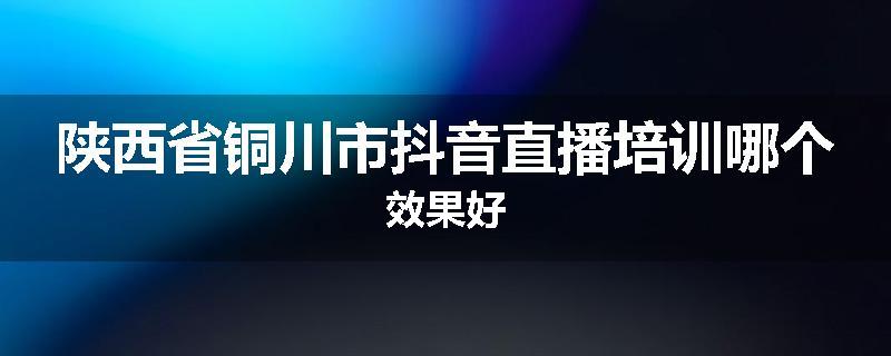 陕西省铜川市抖音直播培训哪个效果好
