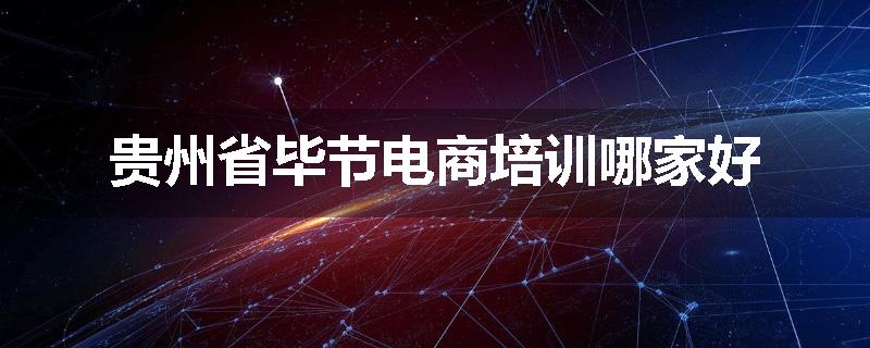 贵州省毕节电商培训哪家好