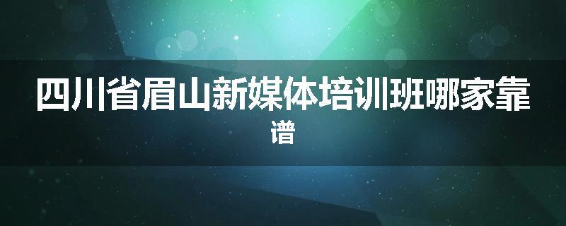 四川省眉山新媒体培训班哪家靠谱