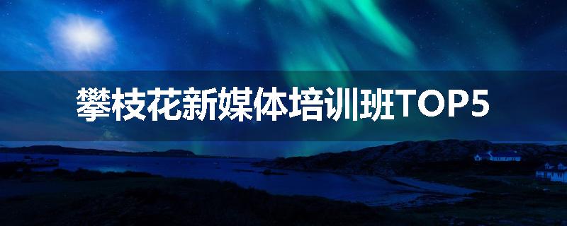 攀枝花新媒体培训班TOP5