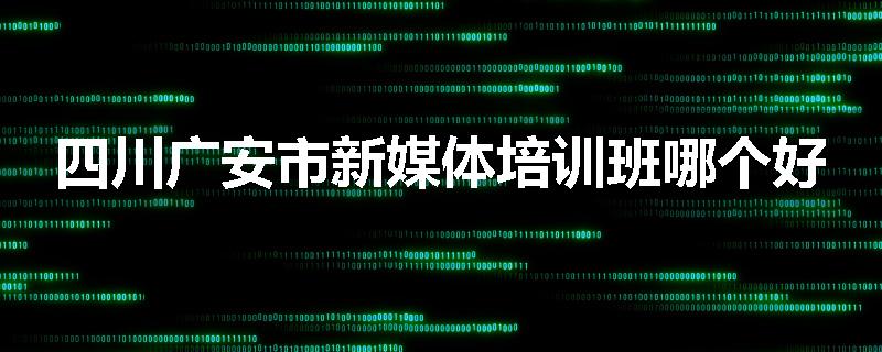 四川广安市新媒体培训班哪个好